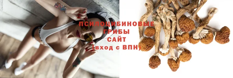 Галлюциногенные грибы MAGIC MUSHROOMS  Клин 